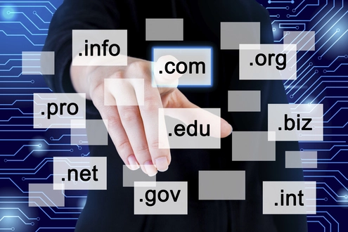 What is a domain and why is it important?